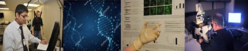 page-top-sites