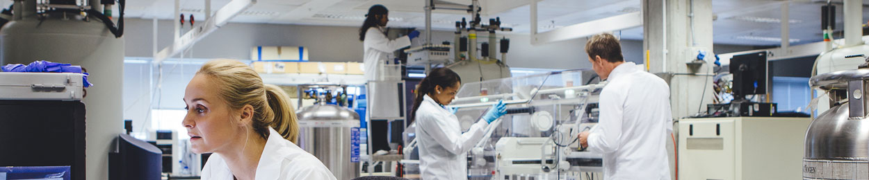 people working in laboratory